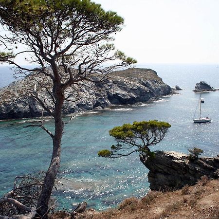T2 Vue Mer 50M De La Plage A Giens Hyères Exteriör bild